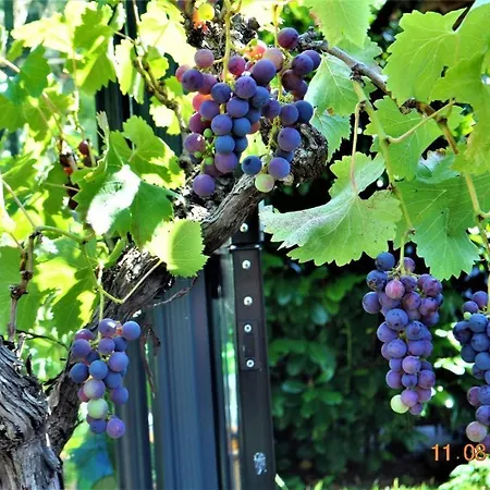 Fischer Διαμέρισμα Chieming
